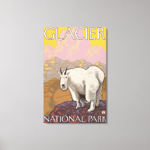Mountain Goat - Glacier National Park, MT Canvastryck