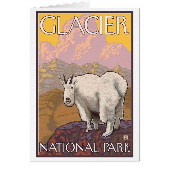 Mountain Goat - Glacier National Park, MT OBS Kort (Framsidan)