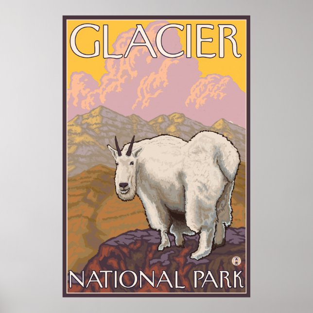 Mountain Goat - Glacier National Park, MT Poster (Framsidan)