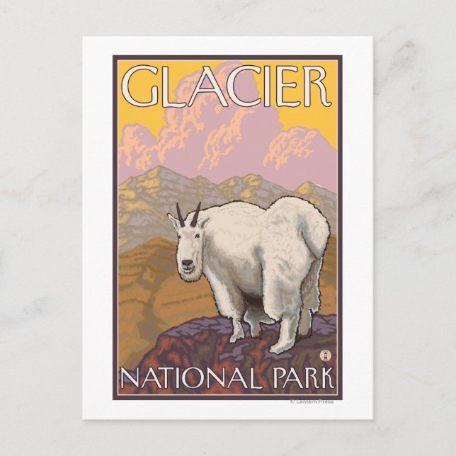 Mountain Goat - Glacier National Park, MT Vykort (Framsida)