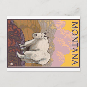 Mountain Goat - Montana Vykort