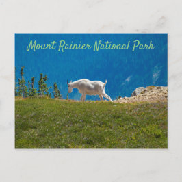 Mountain Goat Panhandle Gap Mt. Rainier Vykort