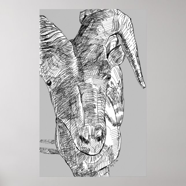 Mountain Goat Poster (Framsidan)