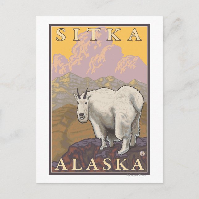 Mountain Goat - Sitka, Alaska Vykort (Framsida)