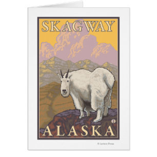Mountain Goat - Skagway, Alaska Hälsningskort