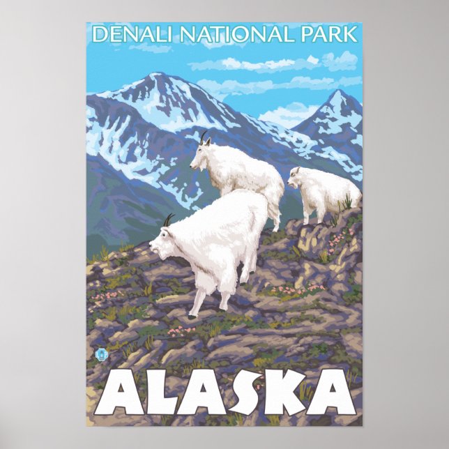 Mountain Goats Scene - Denali National Park Poster (Framsidan)