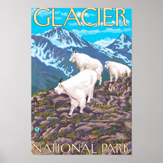 Mountain Goats Scene - Glacier National Park Poster (Framsidan)