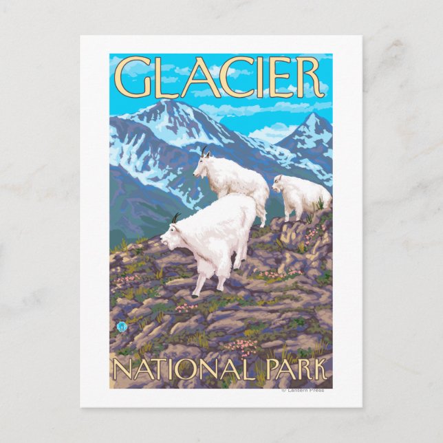 Mountain Goats Scene - Glacier National Park Vykort (Framsida)