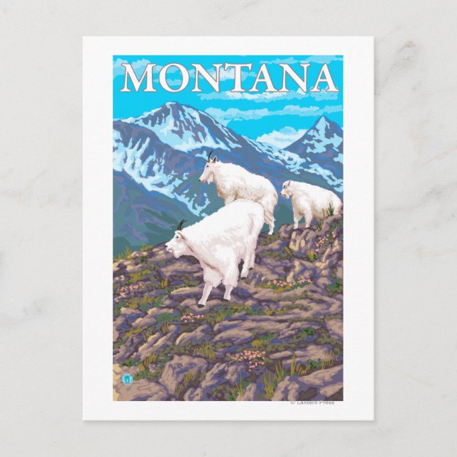 Mountain Goats Scene - Montana Vykort (Framsida)