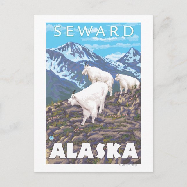 Mountain Goats Scene - Seward, Alaska Vykort (Framsida)