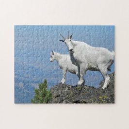 Mountain Goats White Wildlife Photo Pussel