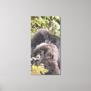 Mountain Gorilla Baby 20 x 40 tum. Canvas