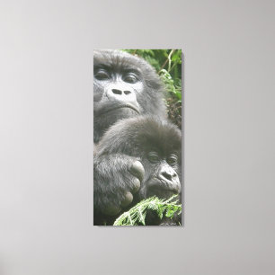 Mountain Gorilla & Baby 20 x 40 tum. Canvas