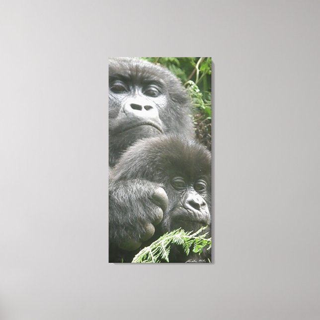 Mountain Gorilla & Baby 20 x 40 tum. Canvas (Framsida)