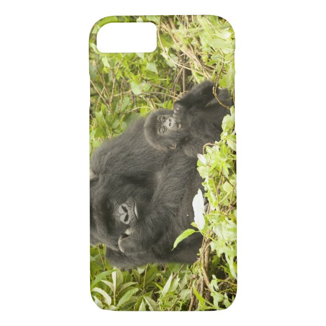 Mountain Gorilla, Gorilla beringei (tidigare G. Case-Mate iPhone Skal (Baksida)