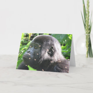 Mountain Gorilla Kort