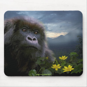 Mountain Gorilla Wildlife-supporter Mousepad Musmatta