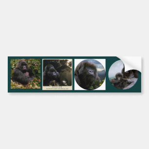 MOUNTAIN GORILLAS Wildlife Multi-dekal Set #VII Bildekal