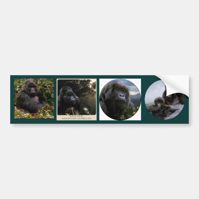 MOUNTAIN GORILLAS Wildlife Multi-dekal Set #VII Bildekal (Framsidan)