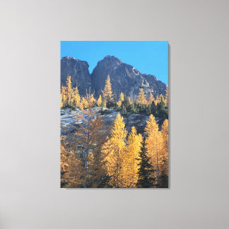 Mountain Larches Canvastryck