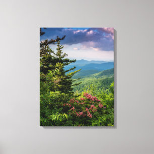 Mountain Laurel vid soluppgång Canvastryck