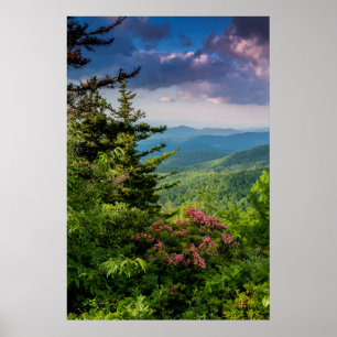 Mountain Laurel vid soluppgång Poster