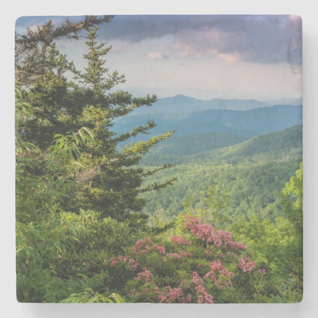 Mountain Laurel vid soluppgång Underlägg Sten (Framsidan)