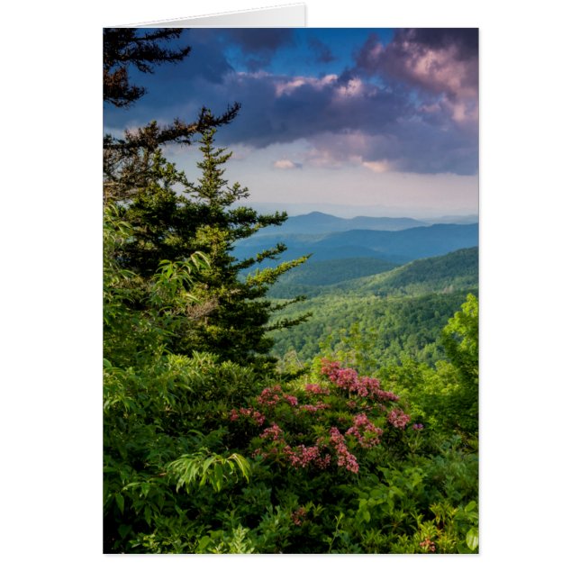 Mountain Laurel vid Sunrise Hälsningskort (Framsidan)