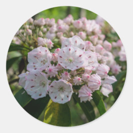 Mountain Laurel Wildblomsticker Runt Klistermärke