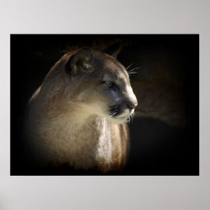 MOUNTAIN LEJON Cougar Big Cat Wildlife Poster