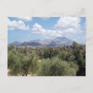 Mountain Olive Grove Scenia Vykort