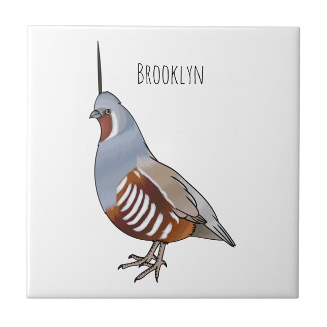 Mountain quail bird cartoon illustration  kakelplatta (Framsidan)