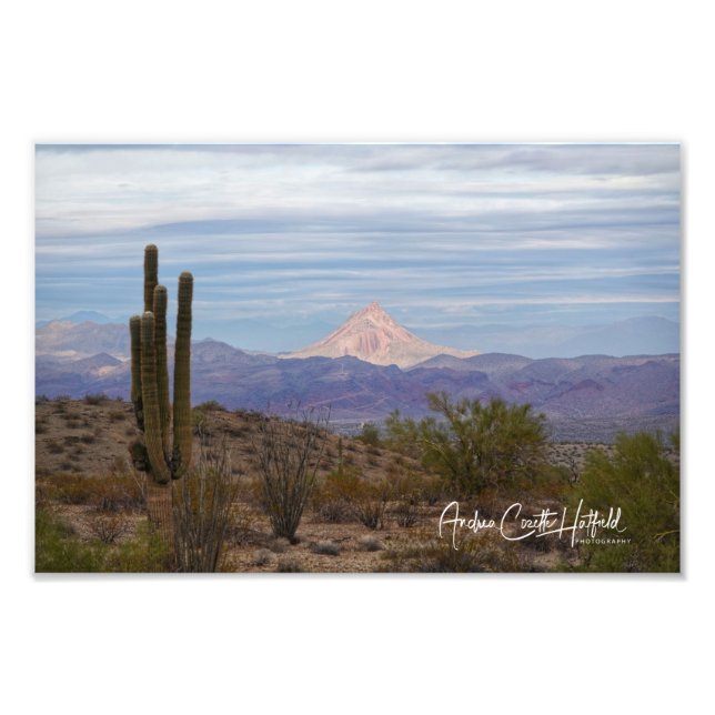 Mountain Saguaro Fototryck (Framsidan)