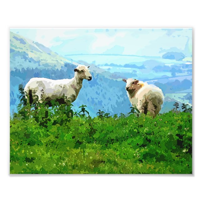 MOUNTAIN SHEEP FOTOTRYCK (Framsidan)