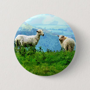 MOUNTAIN SHEEP KNAPP