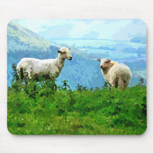 MOUNTAIN SHEEP MUSMATTA