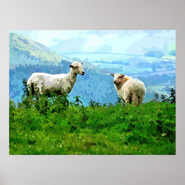 MOUNTAIN SHEEP POSTER (Framsidan)