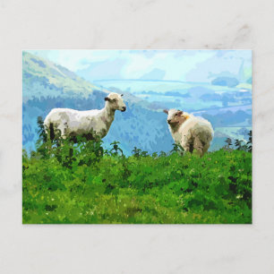 MOUNTAIN SHEEP VYKORT