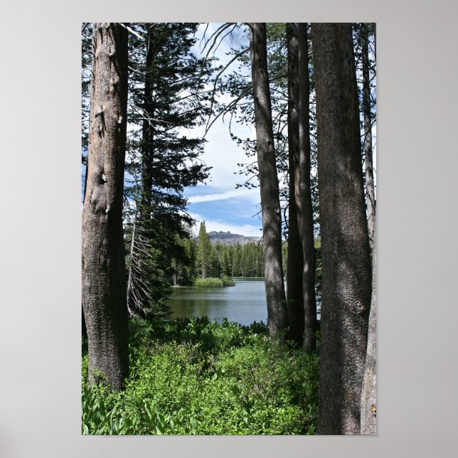 Mountain Sjö, Forest (porträtt) Poster (Framsidan)