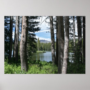 Mountain Sjö, Forest Poster
