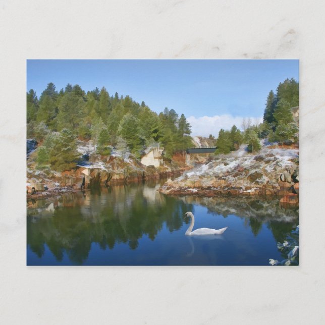 Mountain Sjö, Svan, vykort för reflektioner (Framsida)