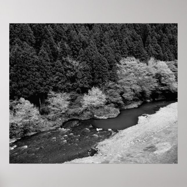 Mountain Stream i Black & White Poster (Framsidan)