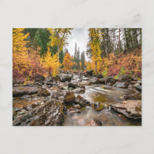 Mountain Stream i höst-/fallfoto Vykort