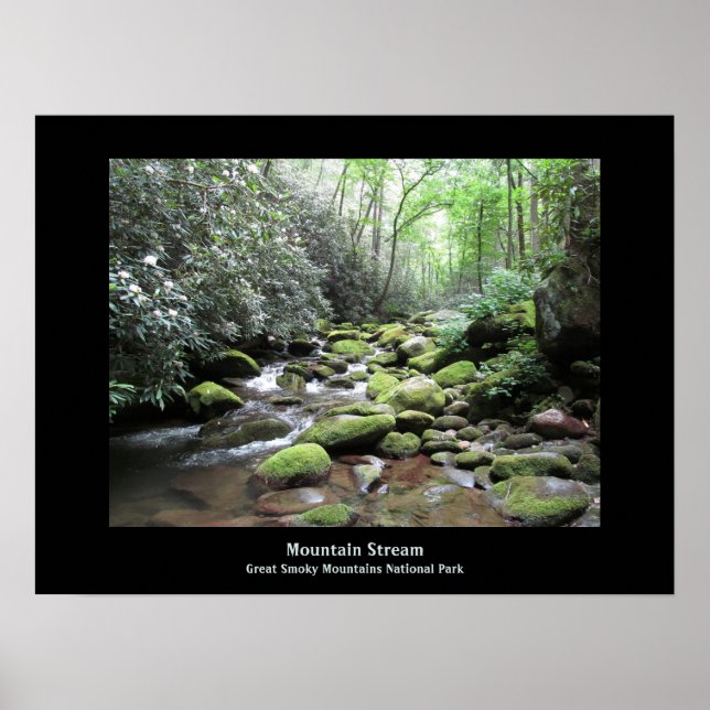 Mountain Stream Underbar Smoky Mountains Poster (Framsidan)