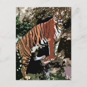 Mountain Tiger Vykort
