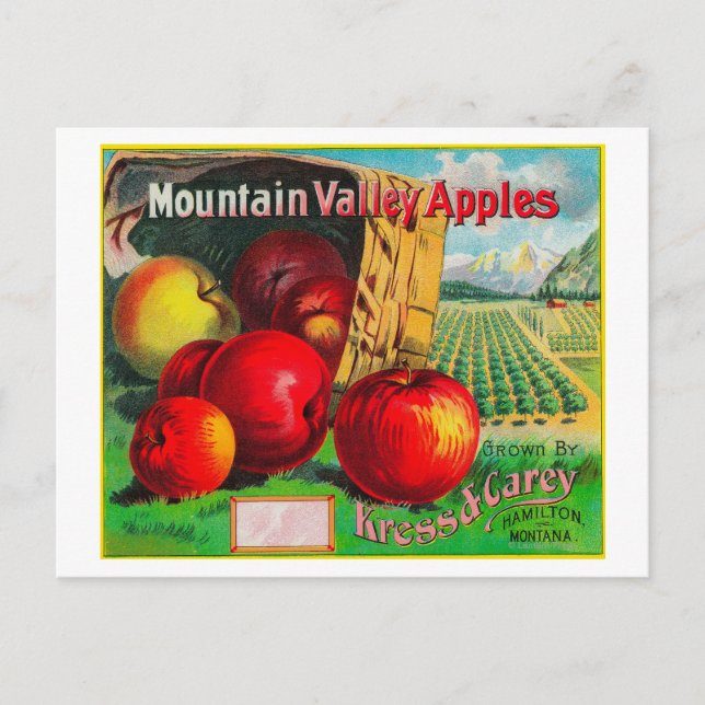 Mountain Valley Apple LabelHamilton, MT Vykort (Framsida)