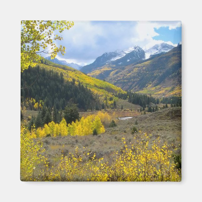 Mountain Valley Magnet (Framsidan)