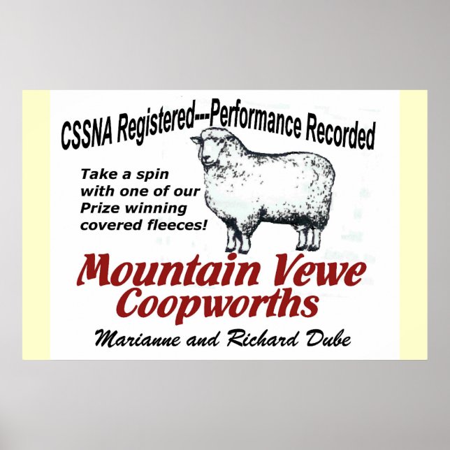 Mountain Vewe Coopworth Poster (Framsidan)