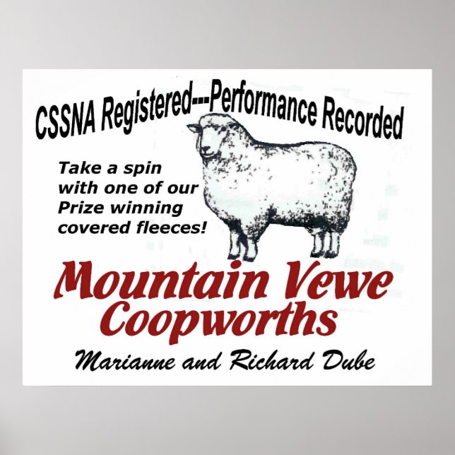 Mountain Vewe Coopworth Poster (Framsidan)