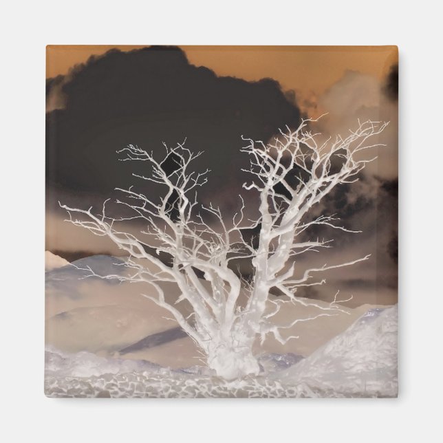 MOUNTAIN WINTER MAGNET (Framsidan)